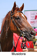 Musidora (14872 bytes)