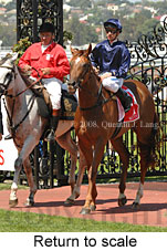 Return to scale (15361 bytes)