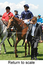 Return to scale (15361 bytes)