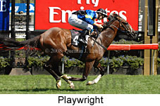 Playwright  (18229 bytes)