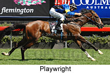 Playwright (14872 bytes)