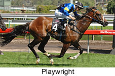 Playwright (14872 bytes)