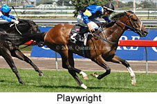 Playwright (14872 bytes)