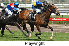 Playwright (14872 bytes)