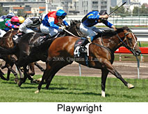 Playwright (14872 bytes)