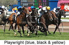 Playwright (14872 bytes)