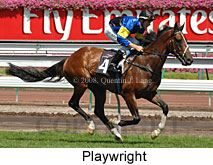 Playwright (14872 bytes)