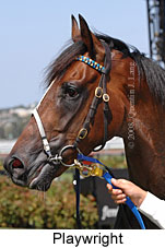 Playwright (14872 bytes)