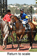 Return to scale (15361 bytes)