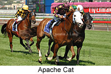 Apache Cat (14872 bytes)