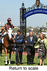 Return to scale (15361 bytes)