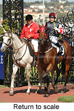 Return to scale (15361 bytes)