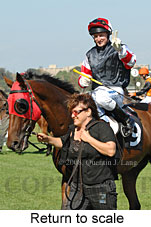 Return to scale (15361 bytes)