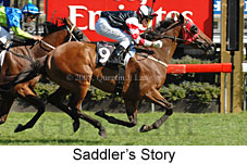 Saddler's Story (14872 bytes)