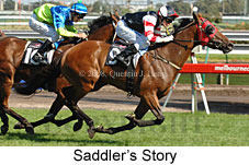 Saddler's Story (14872 bytes)