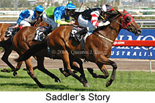 Saddler's Story (14872 bytes)
