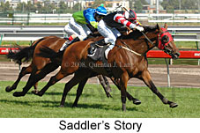 Saddler's Story (14872 bytes)