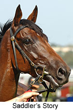 Saddler's Story (14872 bytes)