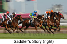 Saddler's Story (14872 bytes)