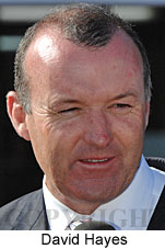 Craig Newitt (15361 bytes)