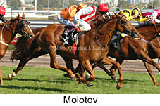 Molotov (14872 bytes)