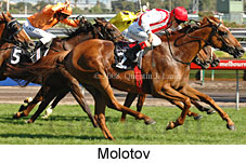 Molotov (14872 bytes)