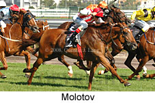 Molotov (14872 bytes)