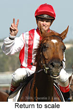 Return to scale (15361 bytes)