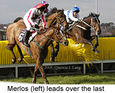 Merlos (14872 bytes)