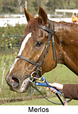 Merlos (14872 bytes)