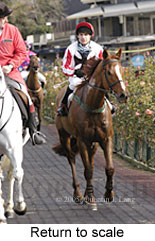 Return to scale (15361 bytes)