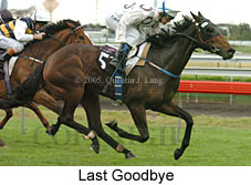 Last Goodbye (14872 bytes)