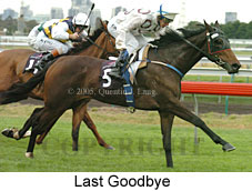 Last Goodbye (14872 bytes)