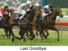 Last Goodbye (14872 bytes)