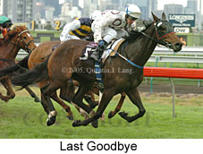 Last Goodbye (14872 bytes)