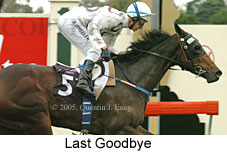 Last Goodbye (14872 bytes)