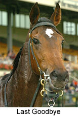 Last Goodbye (14872 bytes)