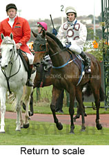 Return to scale (15361 bytes)