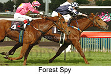 Forest Spy (14872 bytes)