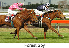 Forest Spy (14872 bytes)