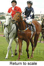 Return to scale (15361 bytes)