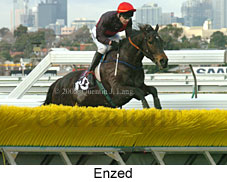Enzed (14872 bytes)