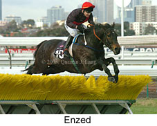 Enzed (18630 bytes)