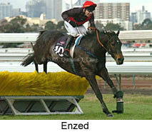 Enzed (14872 bytes)