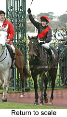 Return to scale (15361 bytes)