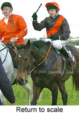 Return to scale (15361 bytes)