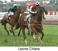 Leone Chiara (14872 bytes)