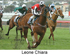 Leone Chiara (14872 bytes)