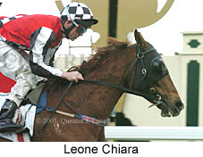 Leone Chiara (14872 bytes)