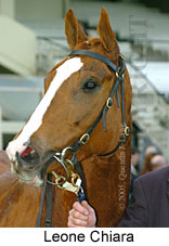Leone Chiara (14872 bytes)